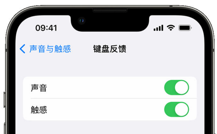 长海苹果手机维修分享iPhone 14触感键盘使用方法 