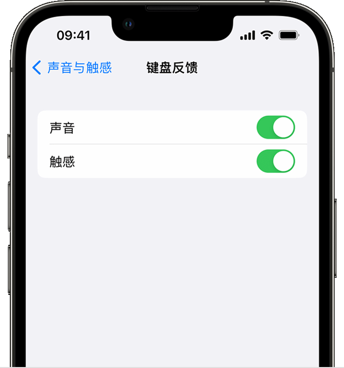 长海苹果14维修店分享如何在 iPhone 14 机型中使用触感键盘 