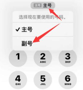 长海苹果14维修店分享iPhone 14 Pro Max使用副卡打电话的方法 