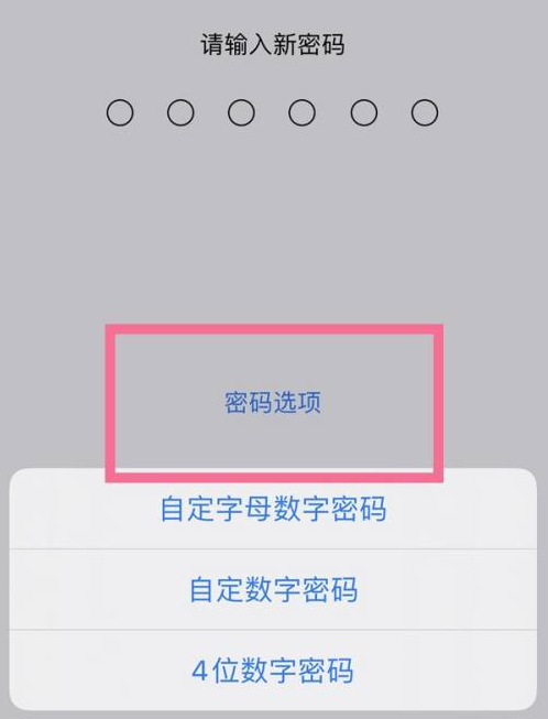 长海苹果14维修分享iPhone 14plus设置密码的方法 