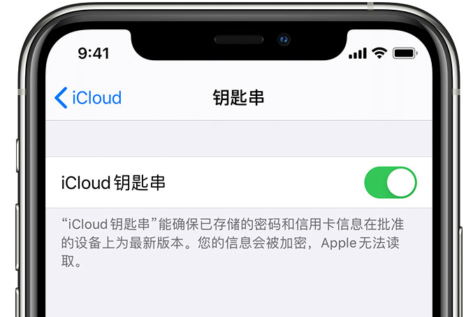 长海苹果手机维修分享在 iPhone 上开启 iCloud 钥匙串之后会储存哪些信息 