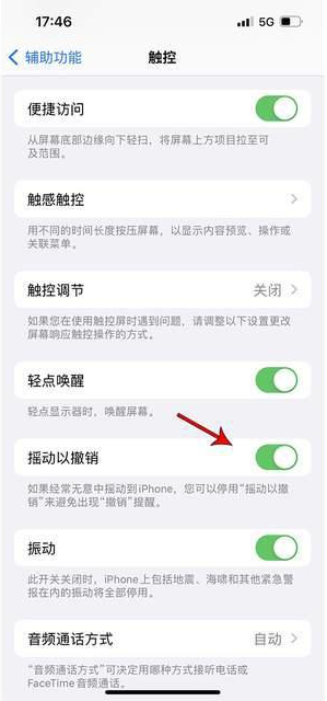 长海苹果手机维修分享iPhone手机如何设置摇一摇删除文字 