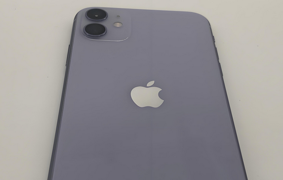 长海苹果11系统维修分享iPhone11手机系统崩溃无法开机如何解决